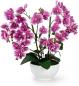 Preview: XXL-Kunstblume Orchidee (groß, 56 cm) im Hochglanz-Keramiktopf