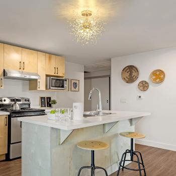 Preview: Moderne Kristall-Deckenleuchte, Kristall-Kronleuchter „Feuerwerk“, 8-flammige goldene Deckenleuchte, dimmbare Pendelleuchte, Kristalllampe für Wohnzimmer, Schlafzimmer, Esszimmer, Küche, Flur [Energieklasse F]